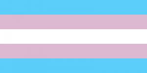 TransGender Pride